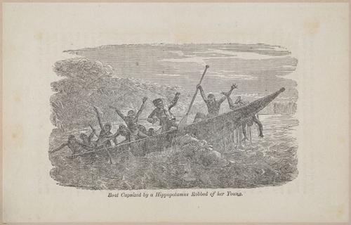 E626 - Livingstone’s Africa - 1872 - 0522