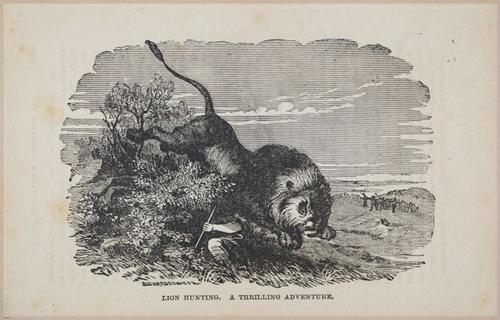 E626 - Livingstone’s Africa - 1872 - 0526