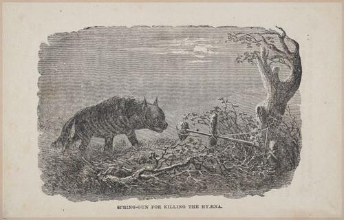 E626 - Livingstone’s Africa - 1872 - 0530