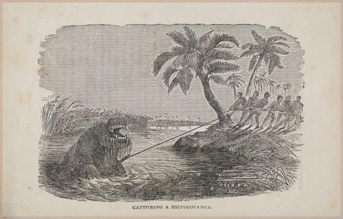 E626 - Livingstone’s Africa - 1872 - 0533