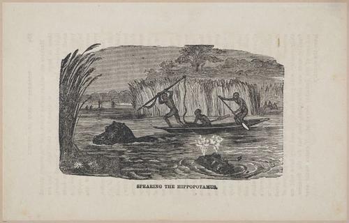 E626 - Livingstone’s Africa - 1872 - 0534