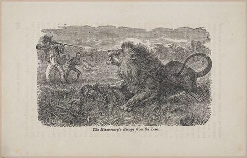 E626 - Livingstone’s Africa - 1872 - 0535