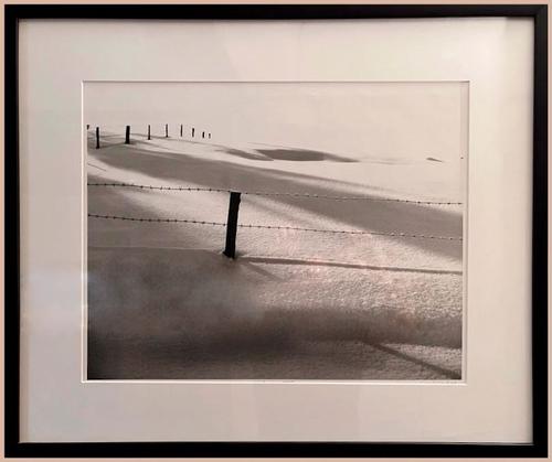 Snow and Fence - Elio Ciel