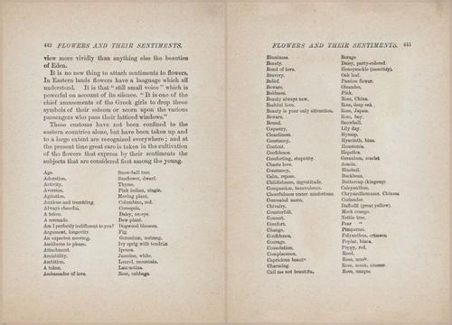 E627 - Manners, Culture and Dress - 1894 - 1436-1437