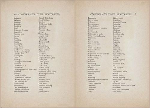 E627 - Manners, Culture and Dress - 1894 - 1440-1441