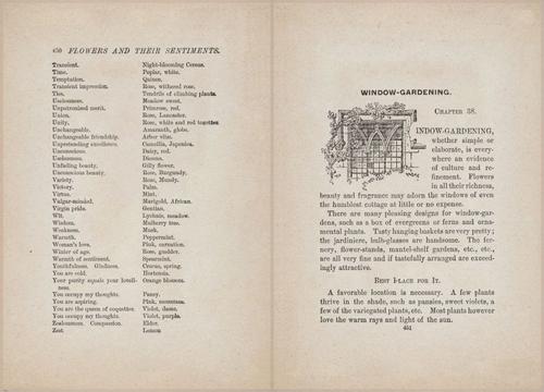 E627 - Manners, Culture and Dress - 1894 - 1444-1445