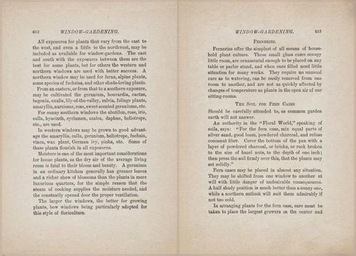 E627 - Manners, Culture and Dress - 1894 - 1446-1447