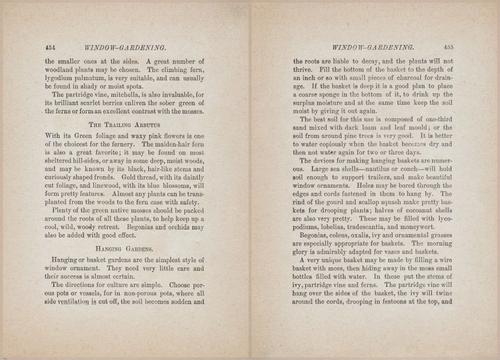E627 - Manners, Culture and Dress - 1894 - 1448-1449