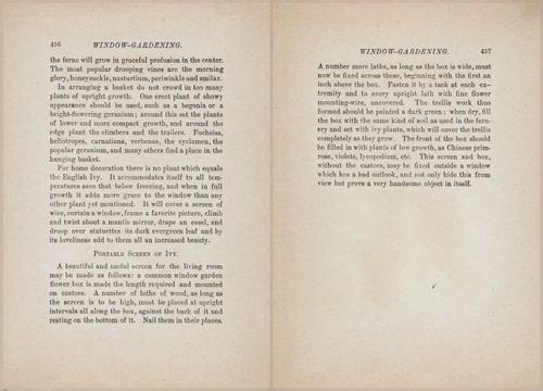E627 - Manners, Culture and Dress - 1894 - 1450-1451