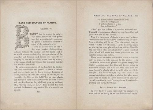 E627 - Manners, Culture and Dress - 1894 - 1452-1453