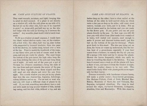 E627 - Manners, Culture and Dress - 1894 - 1454-1455