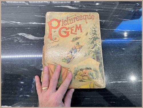 E642 - The Picturesque Gem - 9787