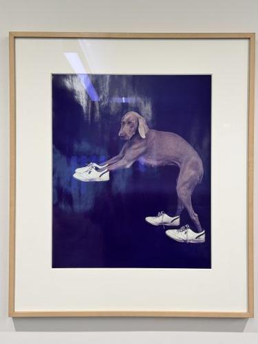 Richard Wegman