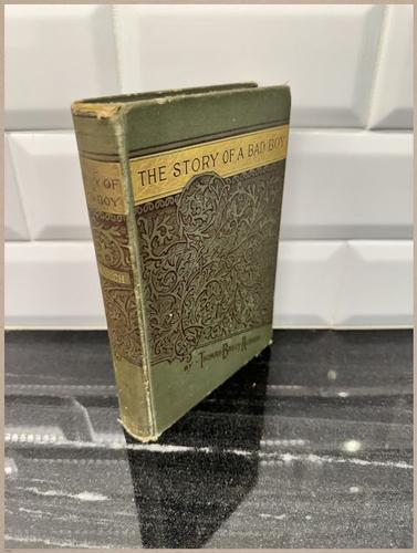 E628 - The Story of a Bad Boy - 1869 - 9183