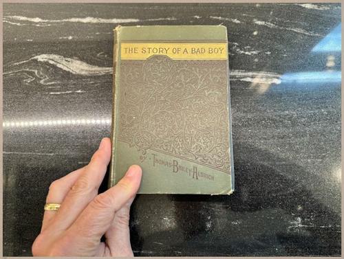 E628 - The Story of a Bad Boy - 1869 - 9184