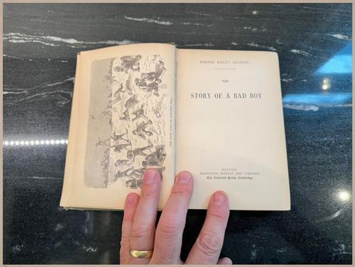 E628 - The Story of a Bad Boy - 1869 - 9185