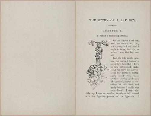 E628 - The Story of a Bad Boy - 1869 - 3614