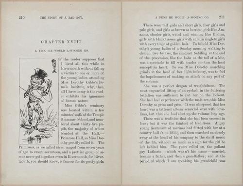 E628 - The Story of a Bad Boy - 1869 - 3818-3819