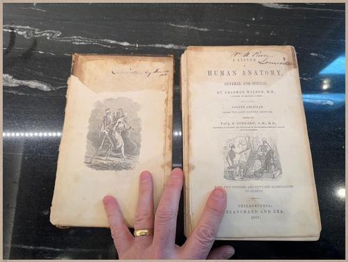 E675 - A System of Human Anatomy - 1857 - 2701