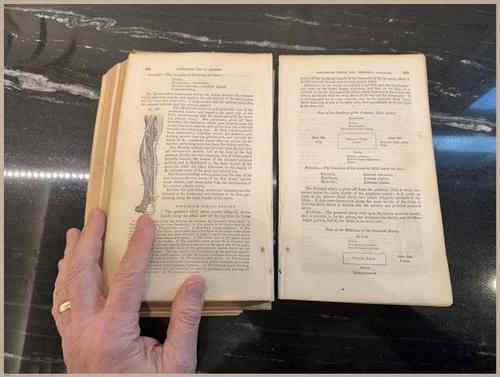 E675 - A System of Human Anatomy - 1857 - 2704