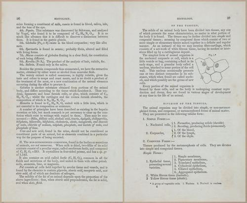 E675 - A System of Human Anatomy - 1857 - 4501-4502