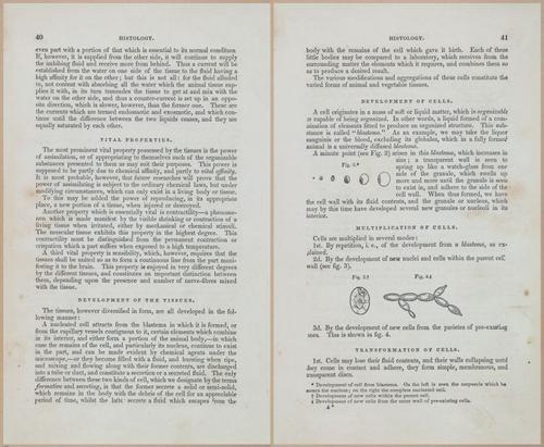 E675 - A System of Human Anatomy - 1857 - 4505-4506