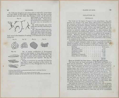 E675 - A System of Human Anatomy - 1857 - 4507-4508