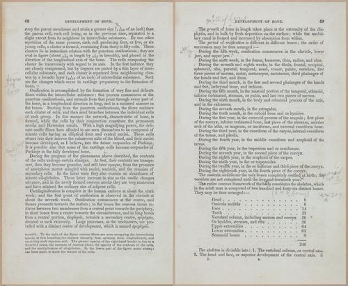 E675 - A System of Human Anatomy - 1857 - 4514-4515