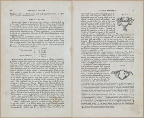 E675 - A System of Human Anatomy - 1857 - 4516-4517