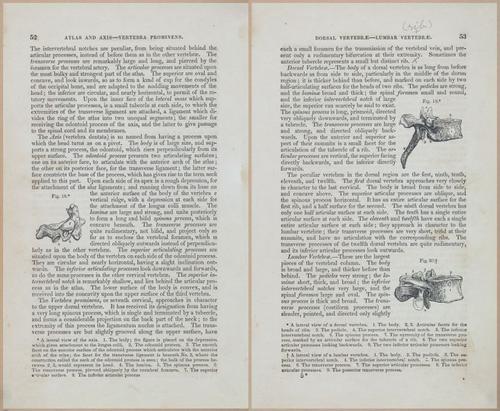 E675 - A System of Human Anatomy - 1857 - 4518-4519