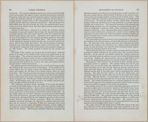 E675 - A System of Human Anatomy - 1857 - 4520-4521