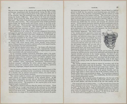E675 - A System of Human Anatomy - 1857 - 4522-4523