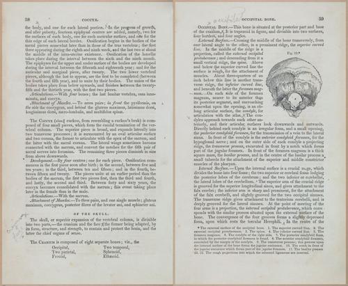 E675 - A System of Human Anatomy - 1857 - 4524-4525
