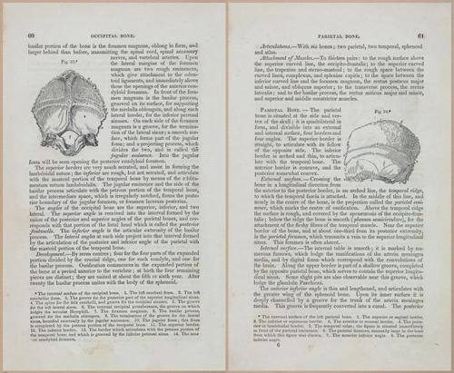 E675 - A System of Human Anatomy - 1857 - 4526-4527
