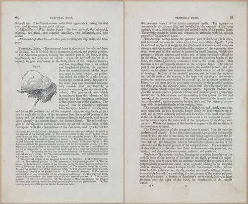 E675 - A System of Human Anatomy - 1857 - 4530-4531