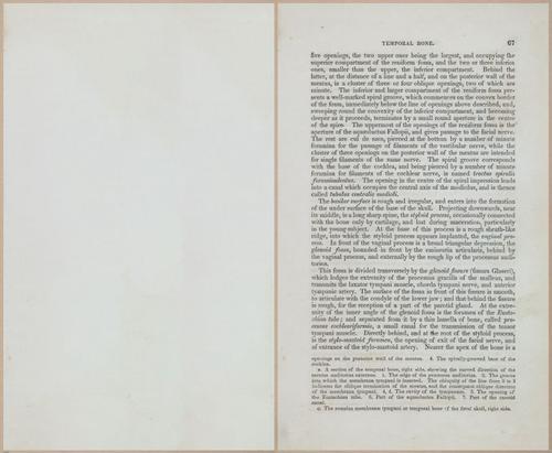 E675 - A System of Human Anatomy - 1857 - 4532