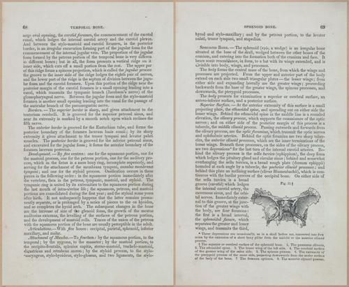 E675 - A System of Human Anatomy - 1857 - 4533-4534