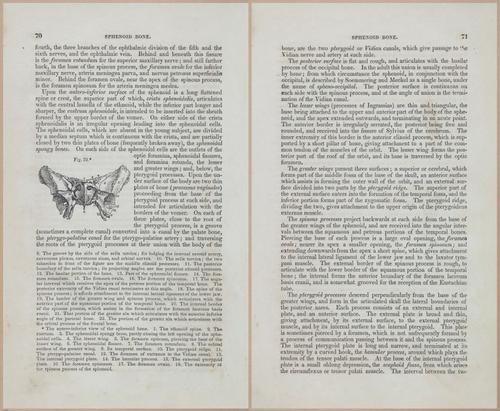 E675 - A System of Human Anatomy - 1857 - 4535-4536