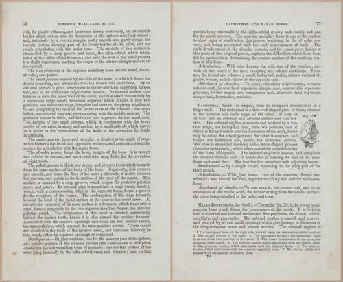 E675 - A System of Human Anatomy - 1857 - 4541-4542