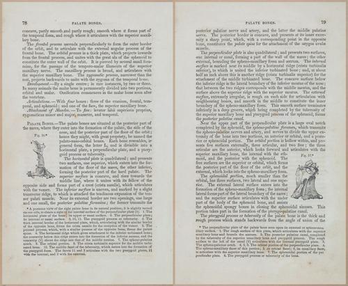 E675 - A System of Human Anatomy - 1857 - 4543-4544