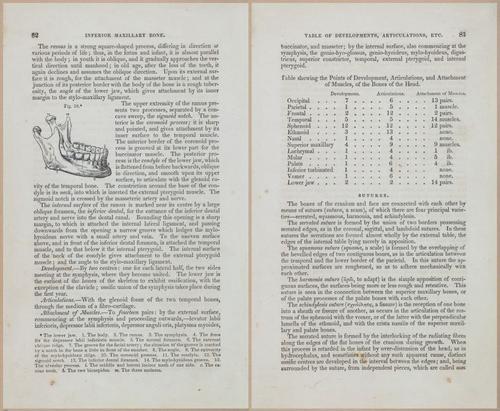 E675 - A System of Human Anatomy - 1857 - 4547-4548