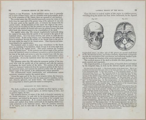 E675 - A System of Human Anatomy - 1857 - 4549-4550