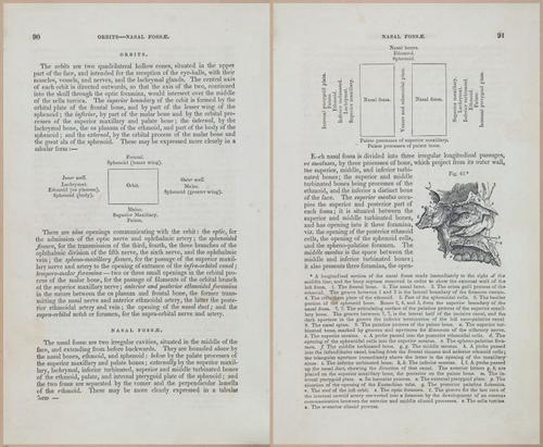 E675 - A System of Human Anatomy - 1857 - 4555-4556
