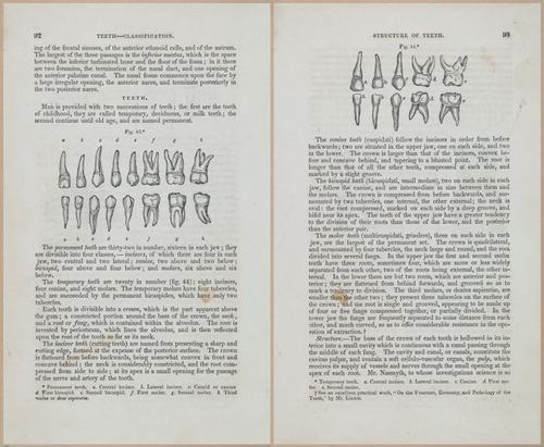 E675 - A System of Human Anatomy - 1857 - 4557-4558