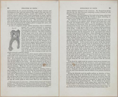 E675 - A System of Human Anatomy - 1857 - 4559-4560