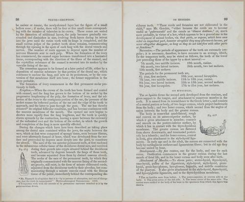 E675 - A System of Human Anatomy - 1857 - 4563-4564