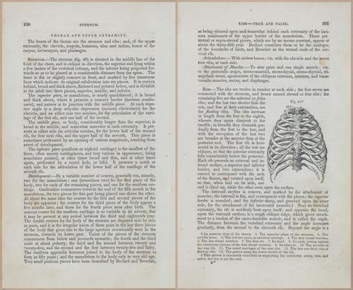 E675 - A System of Human Anatomy - 1857 - 4565-4566
