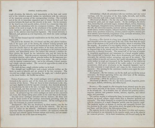 E675 - A System of Human Anatomy - 1857 - 4567-4568
