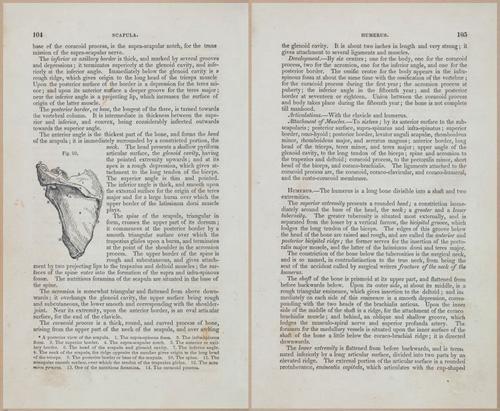 E675 - A System of Human Anatomy - 1857 - 4569-4570