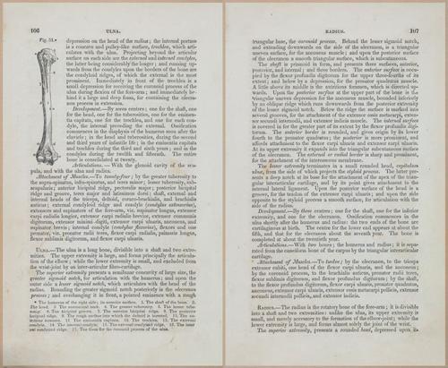 E675 - A System of Human Anatomy - 1857 - 4571-4572